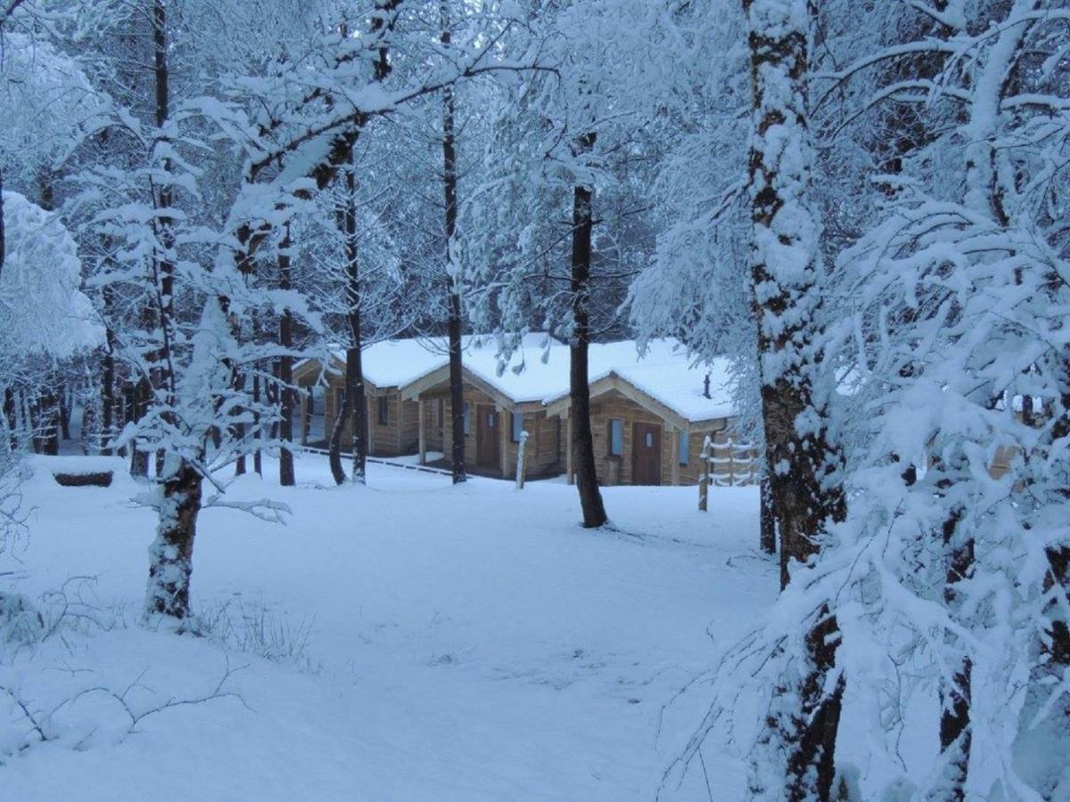 Wyldwood Lodge Cheadle  Zewnętrze zdjęcie