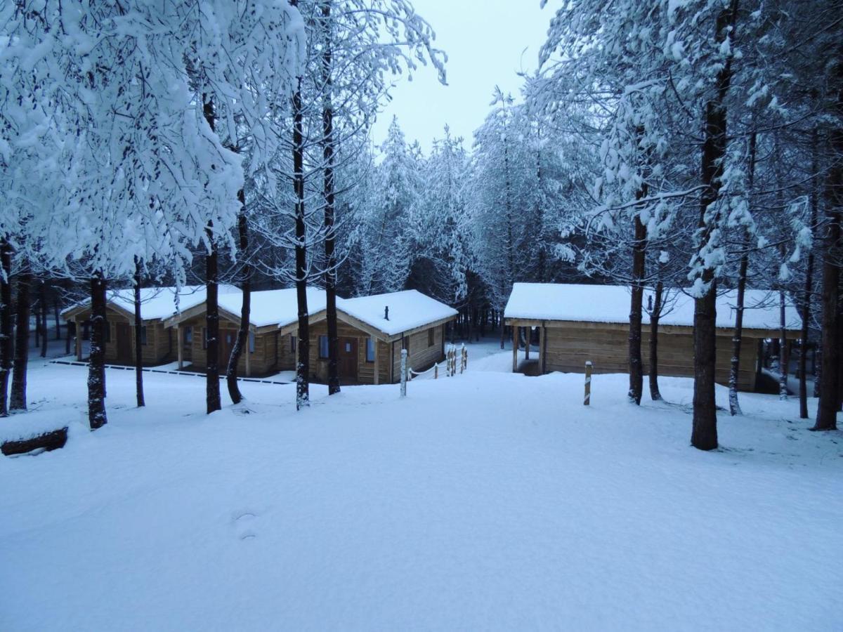Wyldwood Lodge Cheadle  Zewnętrze zdjęcie