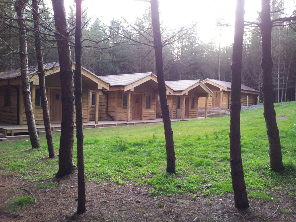 Wyldwood Lodge Cheadle  Zewnętrze zdjęcie