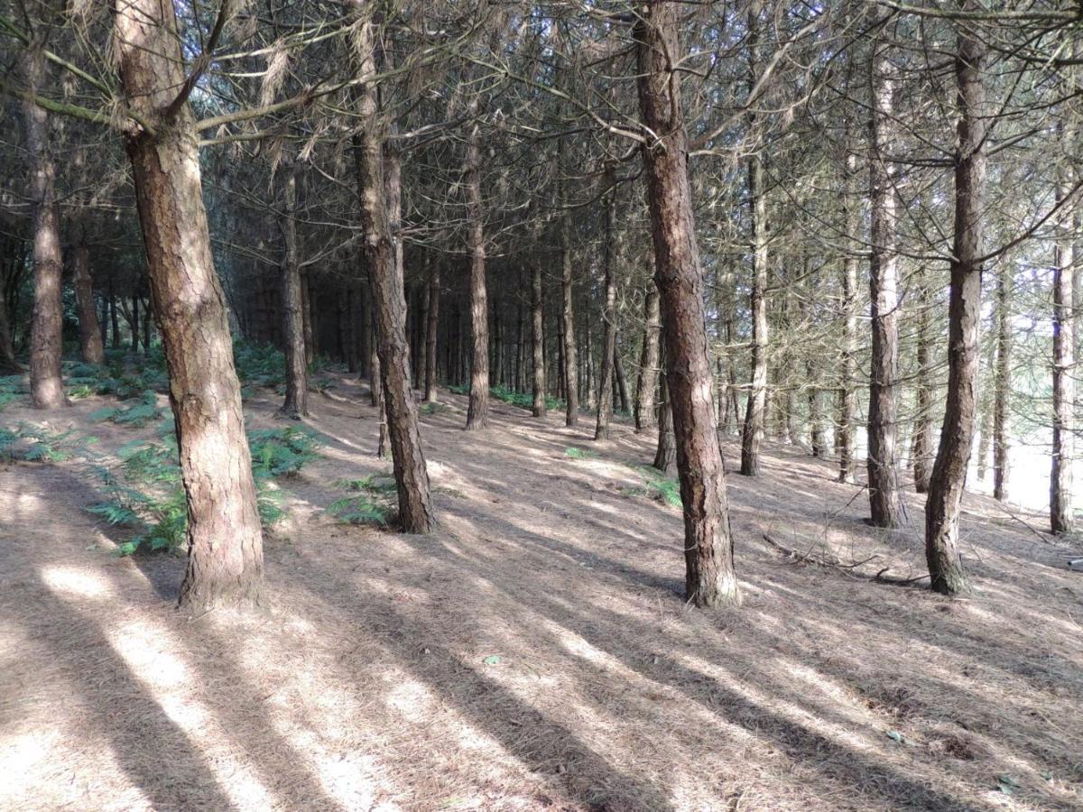 Wyldwood Lodge Cheadle  Zewnętrze zdjęcie