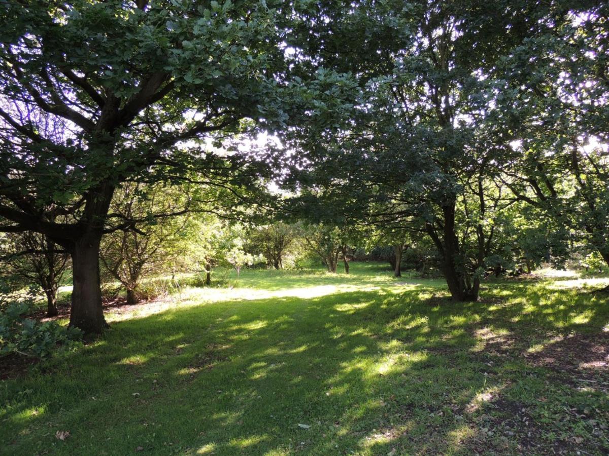 Wyldwood Lodge Cheadle  Zewnętrze zdjęcie