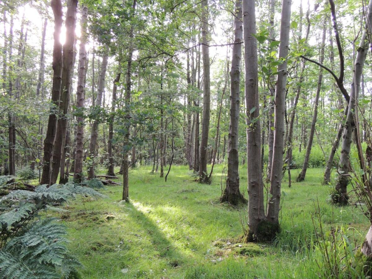 Wyldwood Lodge Cheadle  Zewnętrze zdjęcie
